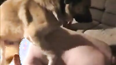 Porn bestiality: porn stories dog transformation