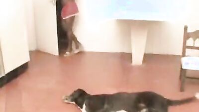 3d dog sex: dog sex maria rose