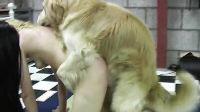 Dog girl anal: young girls dog porn