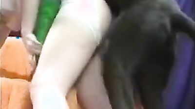 Bestiality porno: bestiality female
