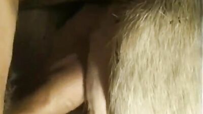 Animal porno: dog zoo sex home
