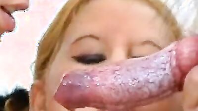 Bestiality horse: dog hard fuck porn