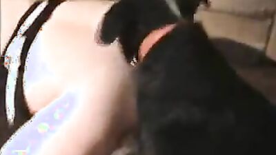 Dog girl: japanese dogs porn