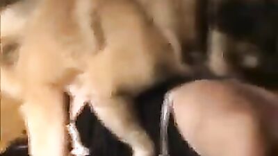 Dog girl: japanese dogs porn