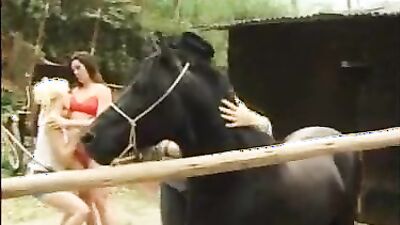Zoo porn: compilation of hard sex with a dog