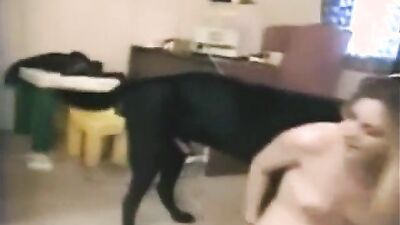 Zoo porn: zoo animal dog sex porn