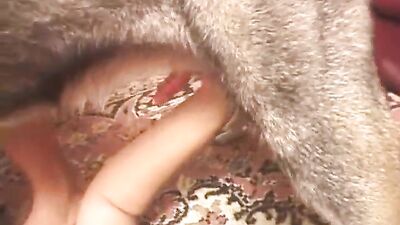 Zoo sex porno: big dog fuck girl
