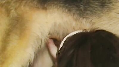 Dog fuck girls fucking: dog fuck girl hentai sex video