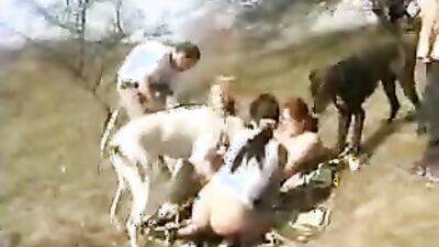 Dog sex porn: mare bestiality porno