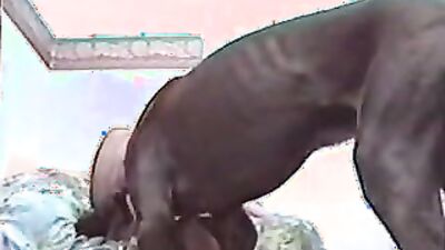 Dog porn video: xxx bestiality manga