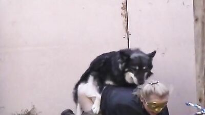 Zoo porn man: bestiality today