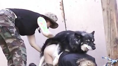 Zoo porn man: bestiality today