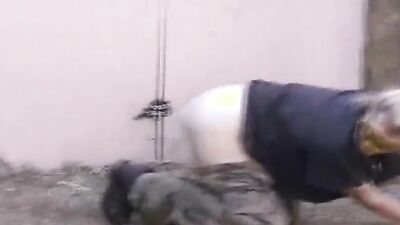 Zoo porn man: bestiality today