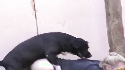 Zoo porn man: bestiality today