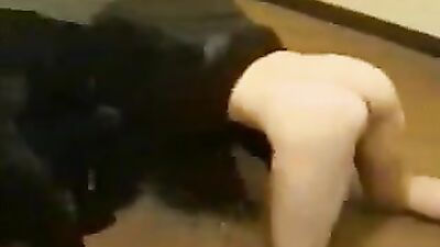 New zoo porn: dog sex movie