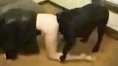 New zoo porn: dog sex movie
