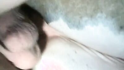 Zoo porn compilation: 3d monster dog porn