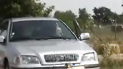 Zoo porn man: zoo sex korova