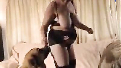 Dog porn video: many dogs porn