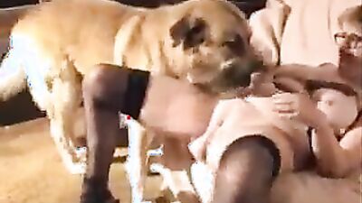 Dog porn video: many dogs porn