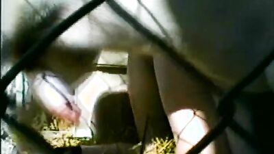 Animal sex: zoophilia retro