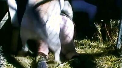 Animal sex: zoophilia retro