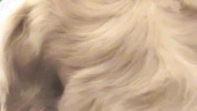 Dog girl: sex zoo seks