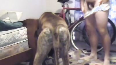 Dog fuck girl: 2 dogs sex