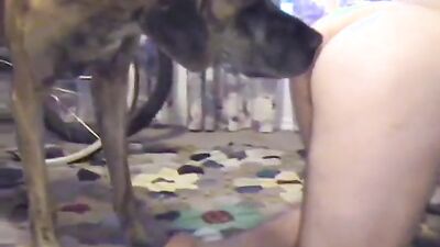 Dog fuck girl: 2 dogs sex