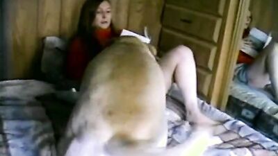 Bestiality porno: hentai zoo porn