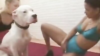 3d bestiality: zoo porno video online