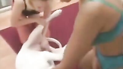 3d bestiality: zoo porno video online