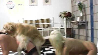 Dog lick girl: real animal porn