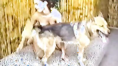 Dog sex porno: sex mona dog fuck porn