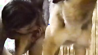 Dog sex porno: sex mona dog fuck porn