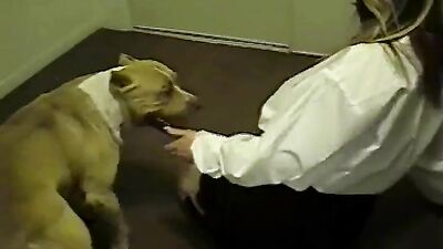 Zoo porn: porn dog tattoo