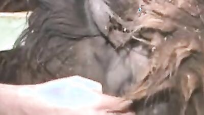 1 girl 5 dog: animal zoo sex porno