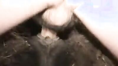 1 girl 5 dog: animal zoo sex porno