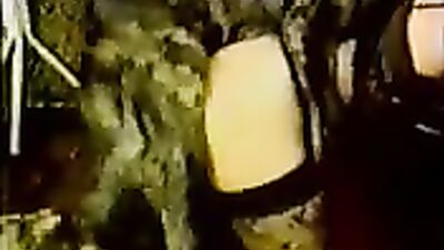 Zoo sex porn: porn dog inside
