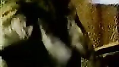 Zoo sex porn: porn dog inside