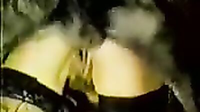 Zoo sex porn: porn dog inside