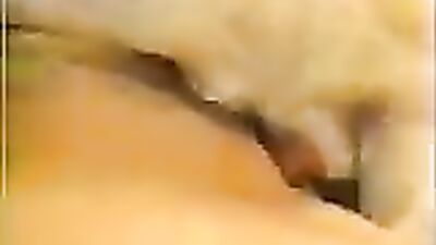 Zoo video: cumstar4 bestiality
