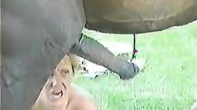 Animal crossing porn: zoophilia animal sex porn