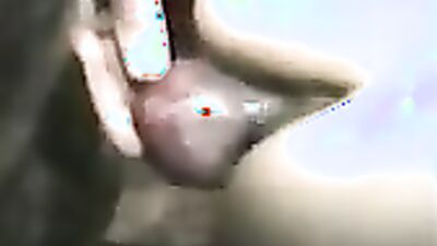 Bestiality video: rocco animal porn