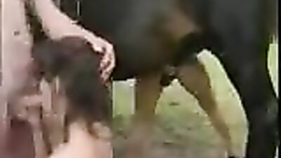 Dog gay porn: longest dog porn movie