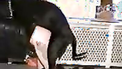 3d dog sex: animal sex dog porno tube