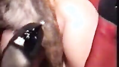 Zoo sex porno: zoo porn my little pony