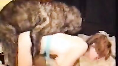 Zoo sex porno: zoo porn my little pony