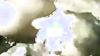 Dog sex porno: new porn dog knott gay