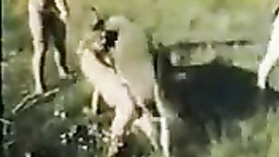 Dog sex porno: new porn dog knott gay